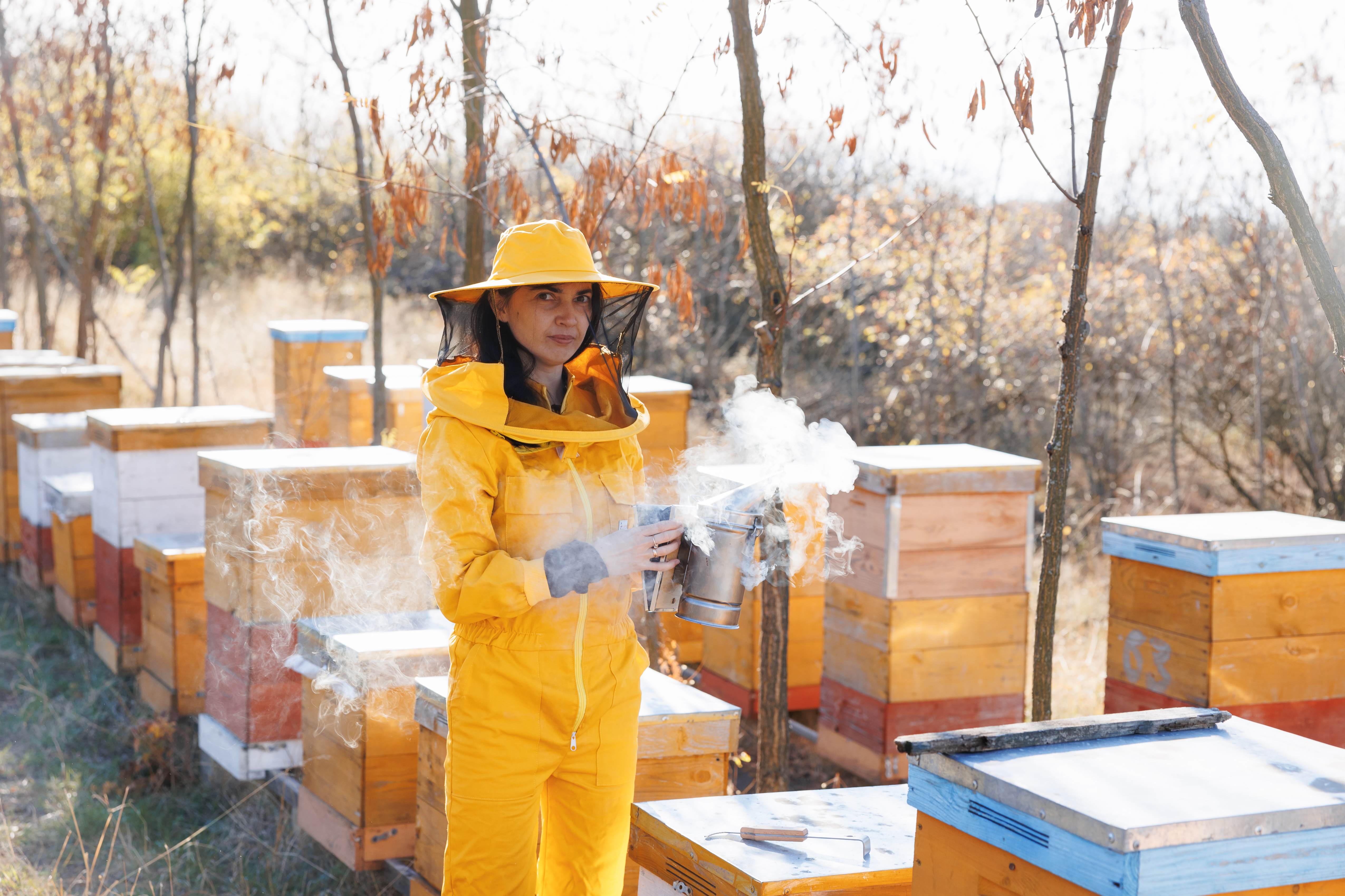 Die Imkerin Doina Pantaz steht in gelber Schutzkleidung mit Insektennetz vor dem Gesicht und einem Rauchbehälter in der Hand vor ihren Bienenboxen in Rezina, Moldau.