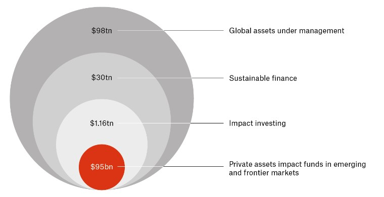 Impact Investing and Sustainable Development